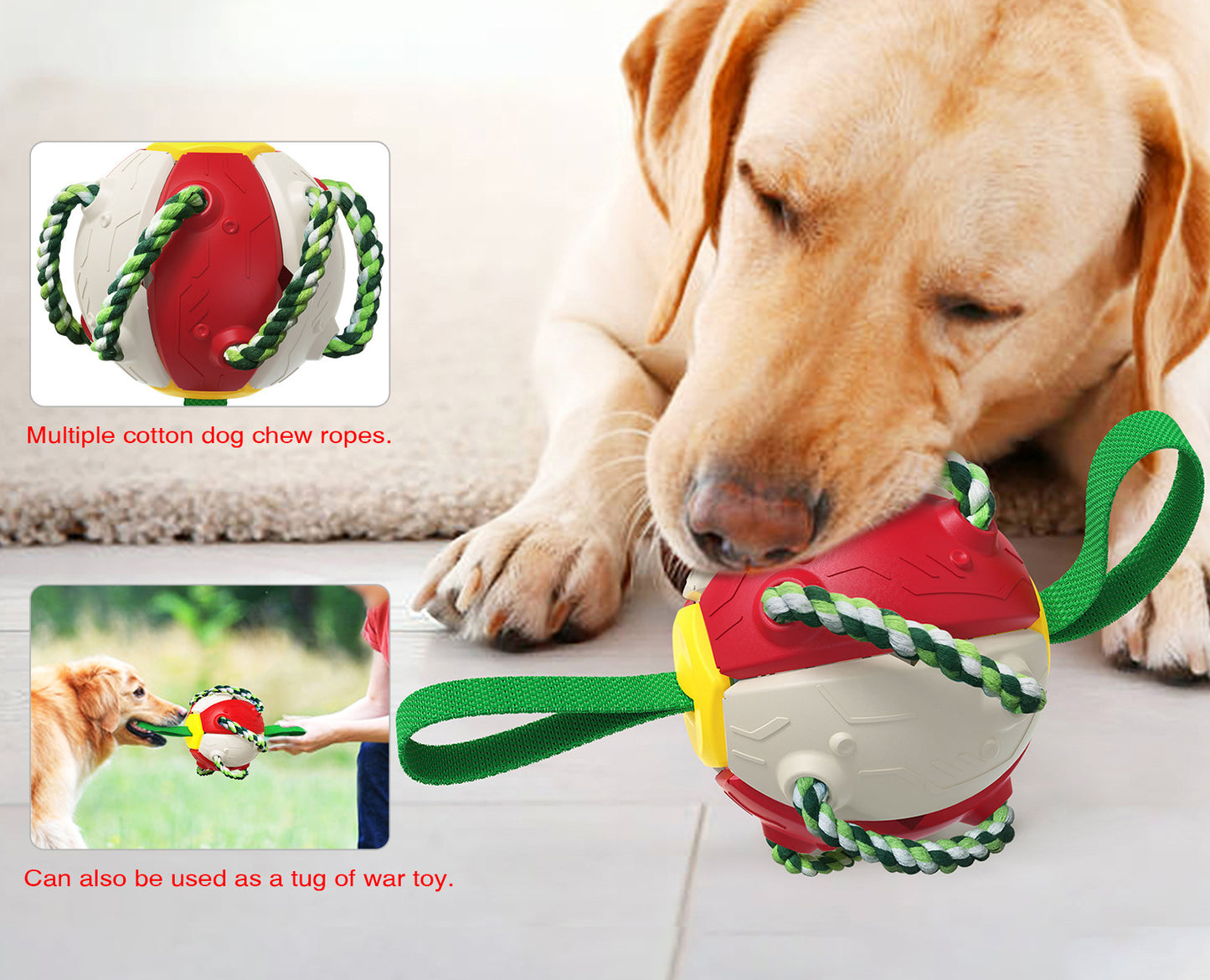 Interactive Dog Toy